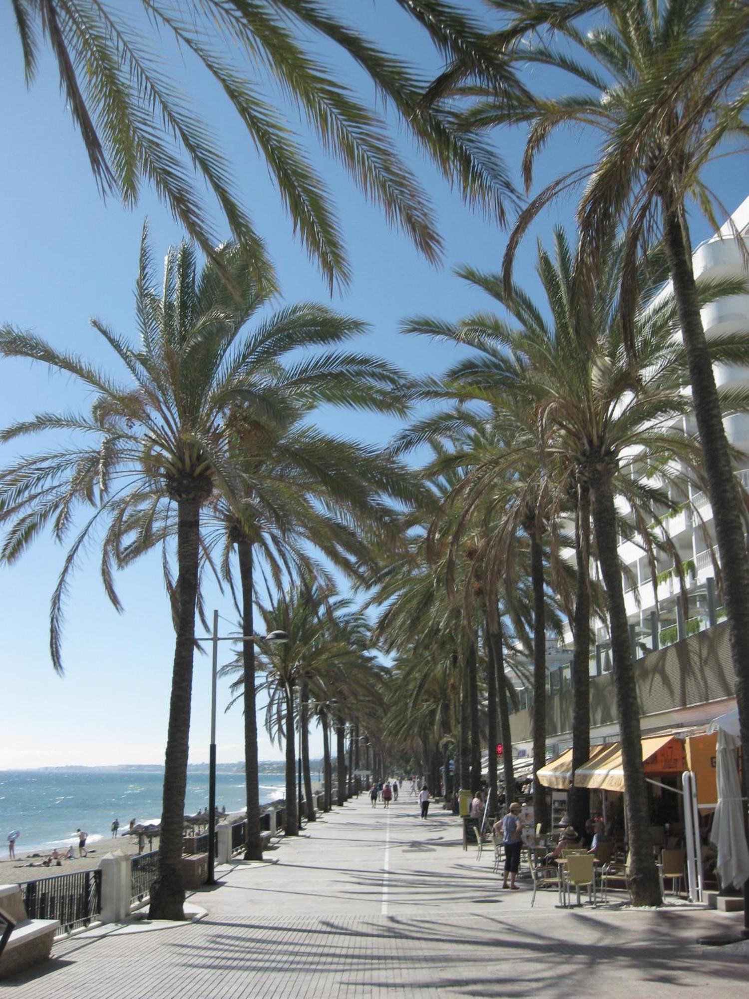 My Dream & Town * Marbella